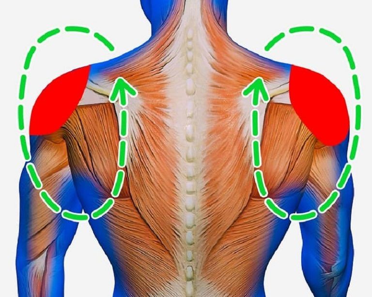 Bài tập xoay vai cho người huyết áp thấp và bị đau vai gáy