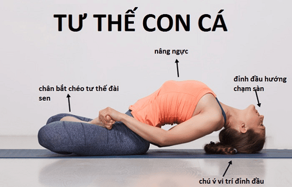 Tư thế con cá trong Yoga